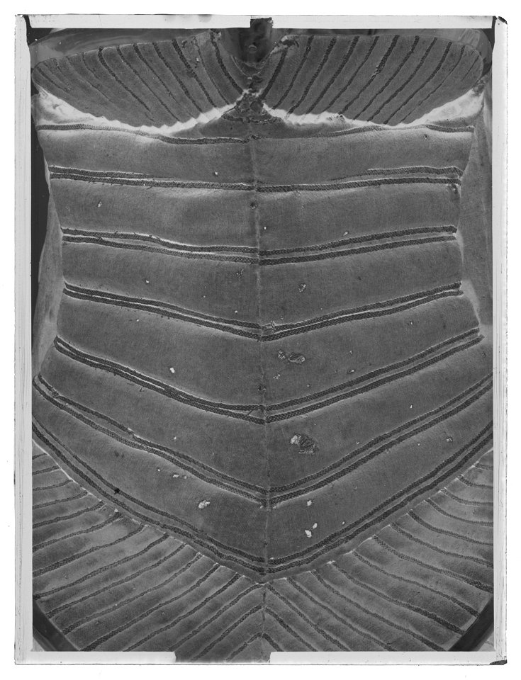 Bomsadel, Polen 1600-talets början - Livrustkammaren - 79778-negative