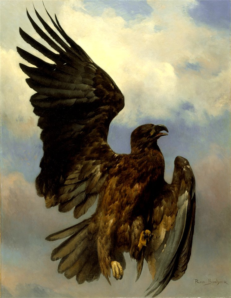 The Wounded Eagle LACMA M.78.37