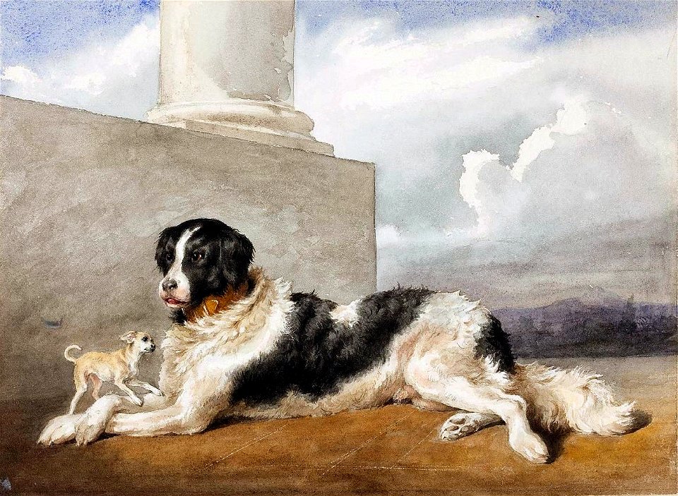 Bonheur Sultan and Rosette