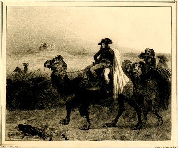 Bonaparte, général en chef de l'armée d'Egypte (campagne de Syrie) (BM 1863,0725.430)