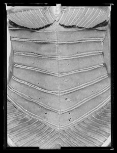 Bomsadel, Polen 1600-talets början - Livrustkammaren - 79778