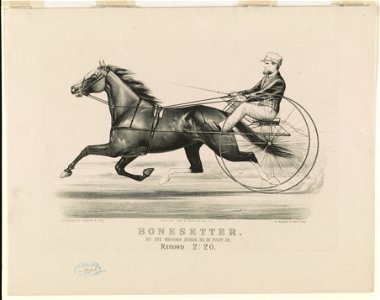 Bonesetter- By the brooks horse, he by Pilot Jr.-record 2-20 LCCN90711993. Free illustration for personal and commercial use.
