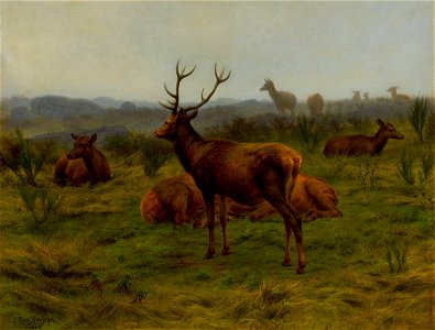 Rosa Bonheur - Le monarque de la meute