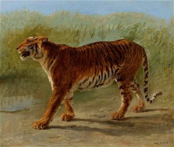 Rosa Bonheur - Tigre royal du marche