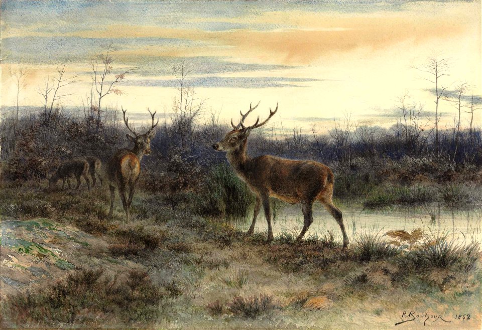 Rosa Bonheur - Cerfs dans la forêt de Fontainebleau