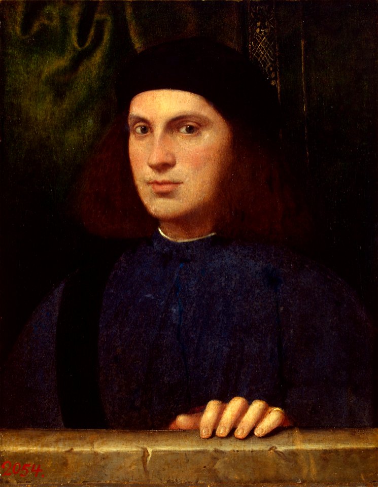 Bonifacio Veronese - Young man (Hermitage)
