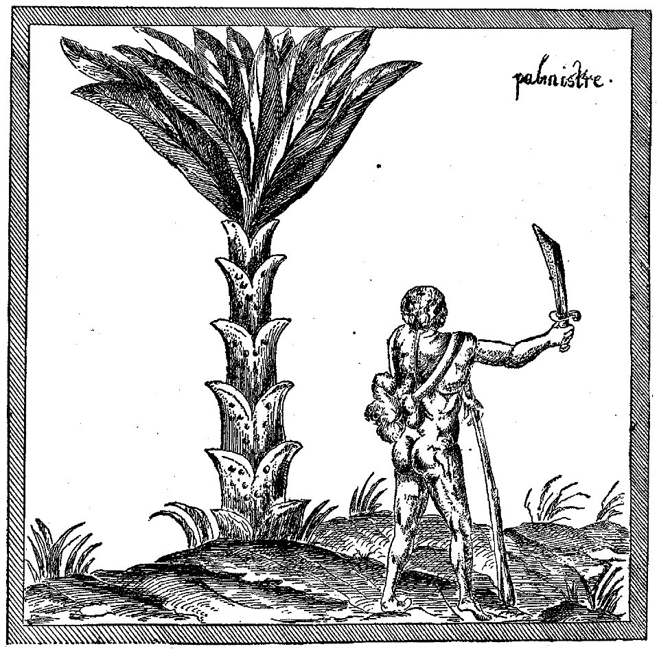 Champlain - Oeuvres de Champlain publiées sous le patronage de l'Université Laval, Tome 1, 1870 - planche - 039