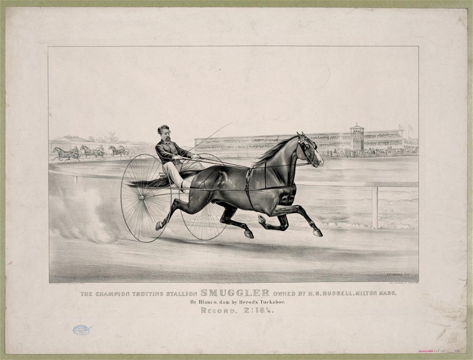 Champion trotting stallion Smuggler owned by H.S. Russell, Milton Mass.- By Blanco, dam by Herod's Tuckahoe LCCN90715815
