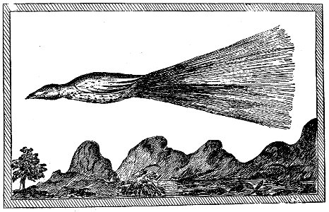 Champlain - Oeuvres de Champlain publiées sous le patronage de l'Université Laval, Tome 1, 1870 - planche - 055