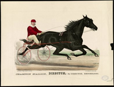 Champion Stallion, Directum, by Director- Record, 2-06 1-2 LCCN90715797