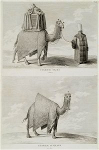 Chameau sacré Chameau supléant - D'ohsson Mouradgea - 1790