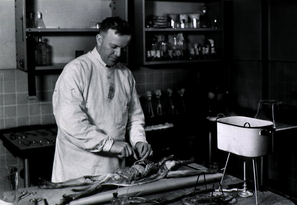 Charles Armstrong lab2