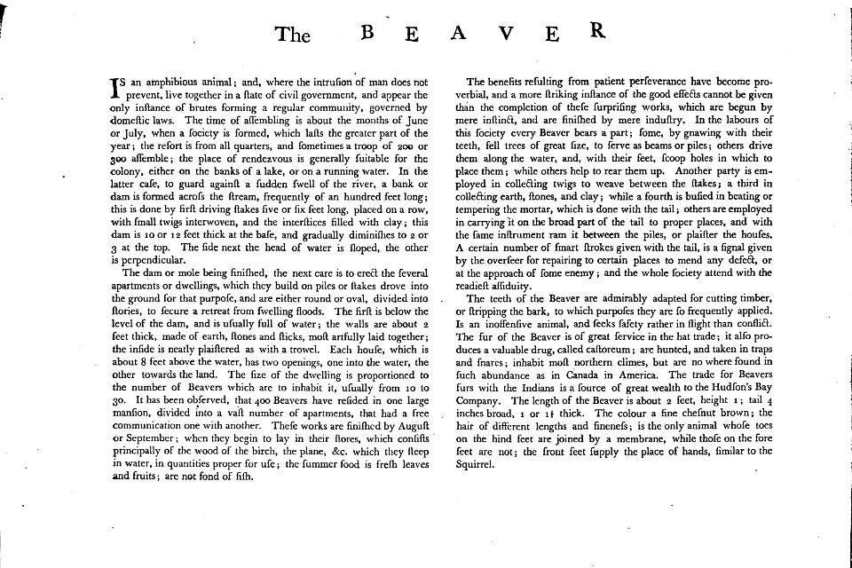 Charles Catton, Animals (1788) Page61 Image1