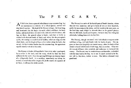 Charles Catton, Animals (1788) Page69 Image1