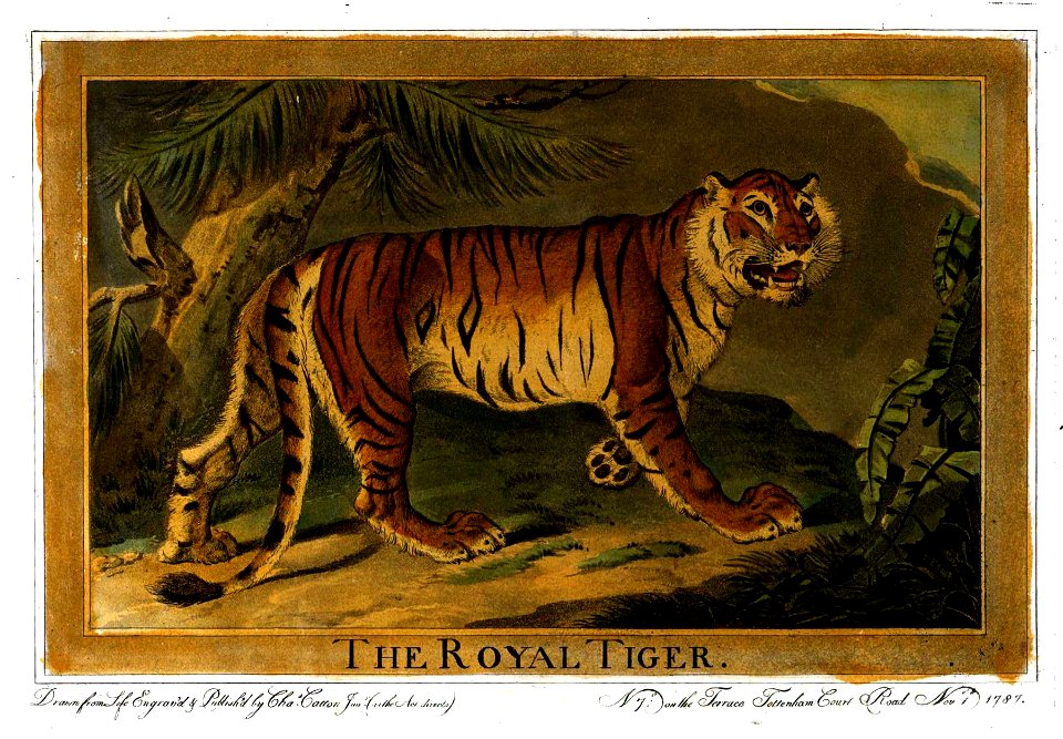 Charles Catton, Animals (1788) Page8 Image1