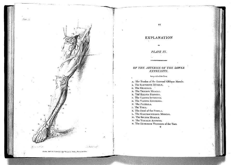 Charles Bell, Engravings of the Arteries Wellcome L0022054