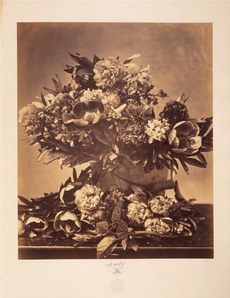 Charles Aubry, French - Still Life with Peonies - Google Art Project
