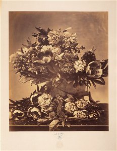 Charles Aubry, French - Still Life with Peonies - Google Art Project