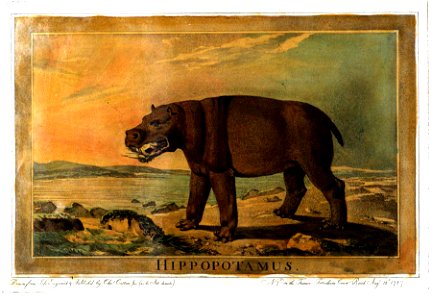 Charles Catton, Animals (1788) Page72 Image1