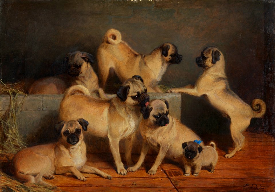 Charles Burton Barber (1845-94) - A Family of Pugs - RCIN 403587 - Royal Collection