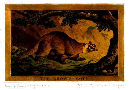 Charles Catton, Animals (1788) Page54 Image1