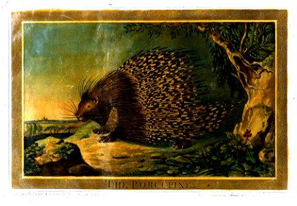 Charles Catton, Animals (1788) Page70 Image1