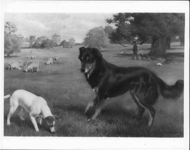 Charles Burton Barber (1845-94) - Noble and Flo - RCIN 406657 - Royal Collection