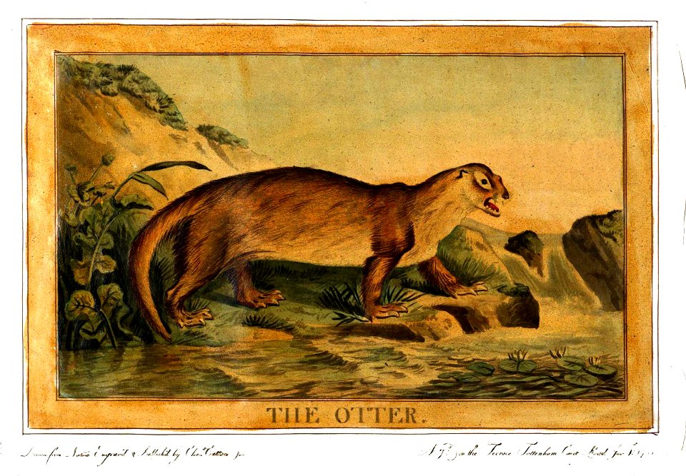 Charles Catton, Animals (1788) Page58 Image1