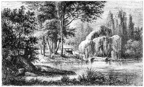 Charles Blanc-Grammaire des arts du dessin-1889 p0329