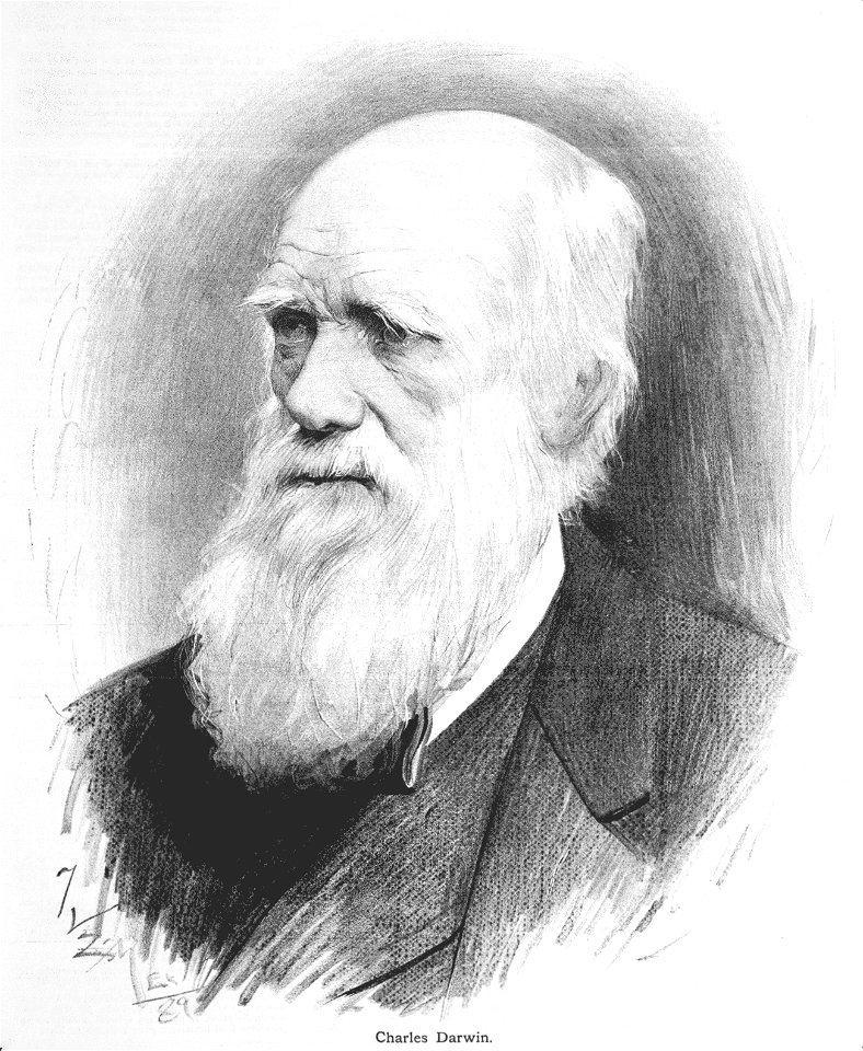 Charles Darwin - Jan Vilímek
