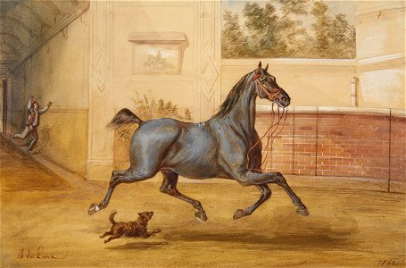 Charles de Luna Pferd 1