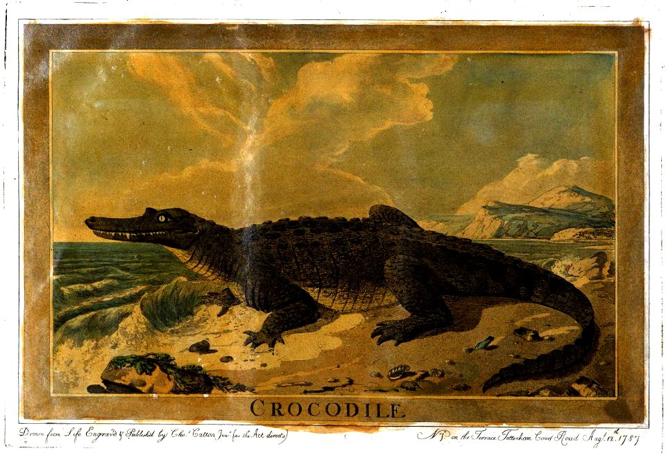 Charles Catton, Animals (1788) Page74 Image1