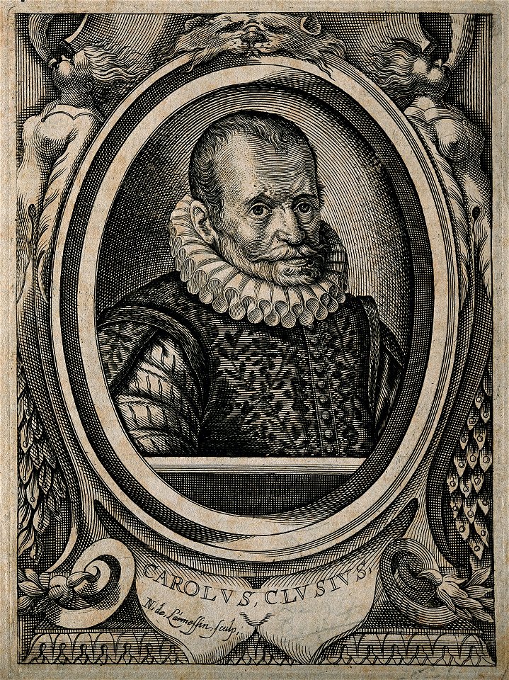 Charles de l'Écluse or Carolus Clusius (1526 – 1609) Wellcome V0003456