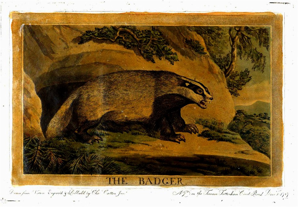 Charles Catton, Animals (1788) Page56 Image1