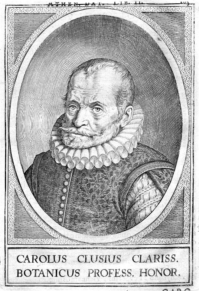 Charles de L'Écluse