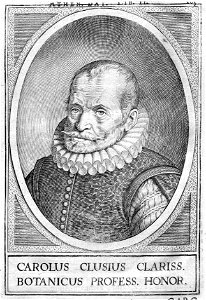 Charles de L'Écluse