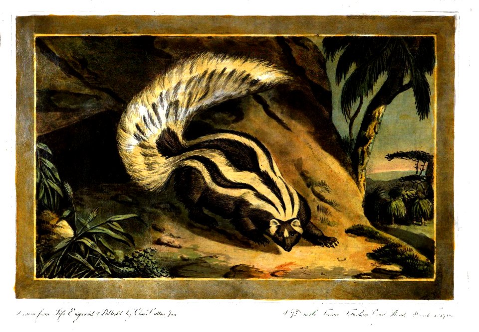 Charles Catton, Animals (1788) Page52 Image1