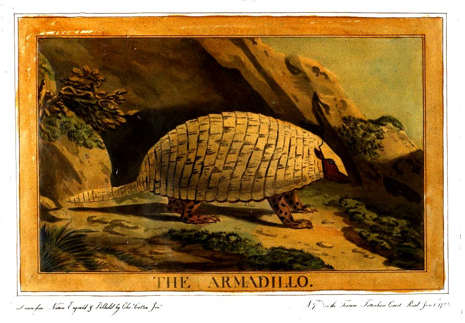 Charles Catton, Animals (1788) Page64 Image1