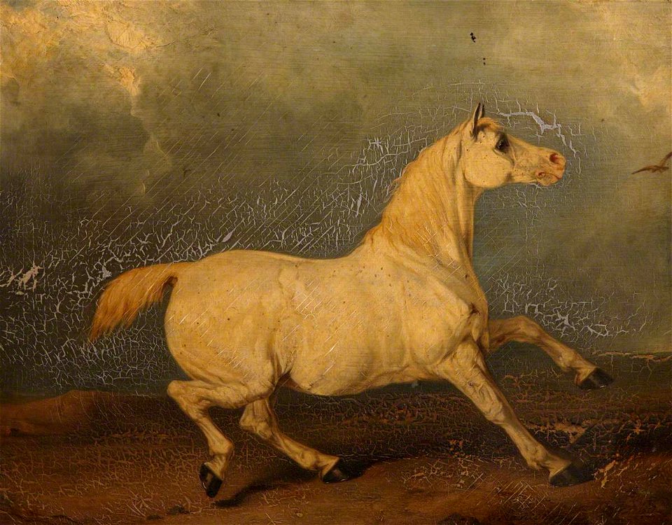 Charles Hancock (1802-1877) - 'Lily', a Grey Horse in a Landscape ...