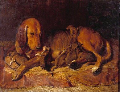 Charles Landseer (1799-1879) - Bloodhound and Pups - N00610 - National Gallery. Free illustration for personal and commercial use.