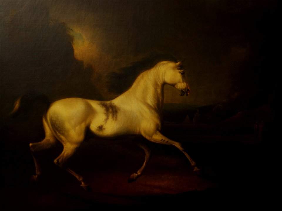 Charles Henry Schwanfelder (1773-1837) - The Malcolm Arabian - RCIN 400529 - Royal Collection