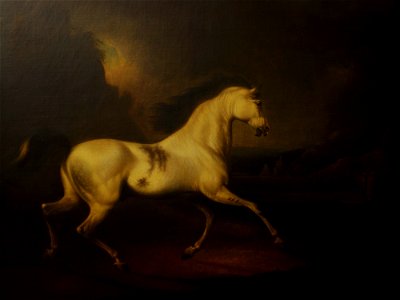 Charles Henry Schwanfelder (1773-1837) - The Malcolm Arabian - RCIN 400529 - Royal Collection