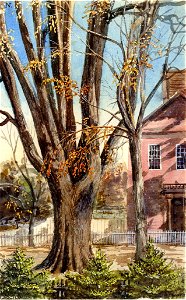 Charles De Wolf Brownell - Elm, East Hartford, Connecticut