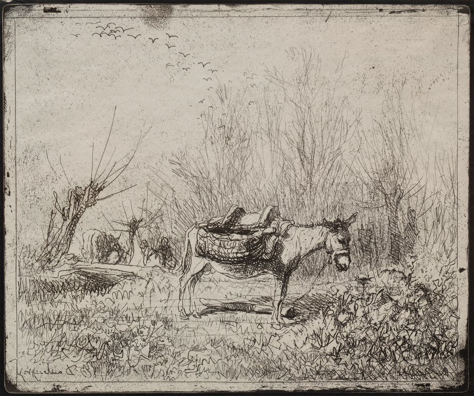 Charles François Daubigny (French, 1817-1878) - A Donkey in the Field - 1925.572 - Cleveland Museum of Art