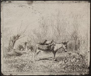 Charles François Daubigny (French, 1817-1878) - A Donkey in the Field - 1925.572 - Cleveland Museum of Art