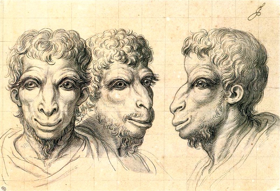 Charles Le Brun - Physiognomic Heads Inspired by a Camel - WGA12557
