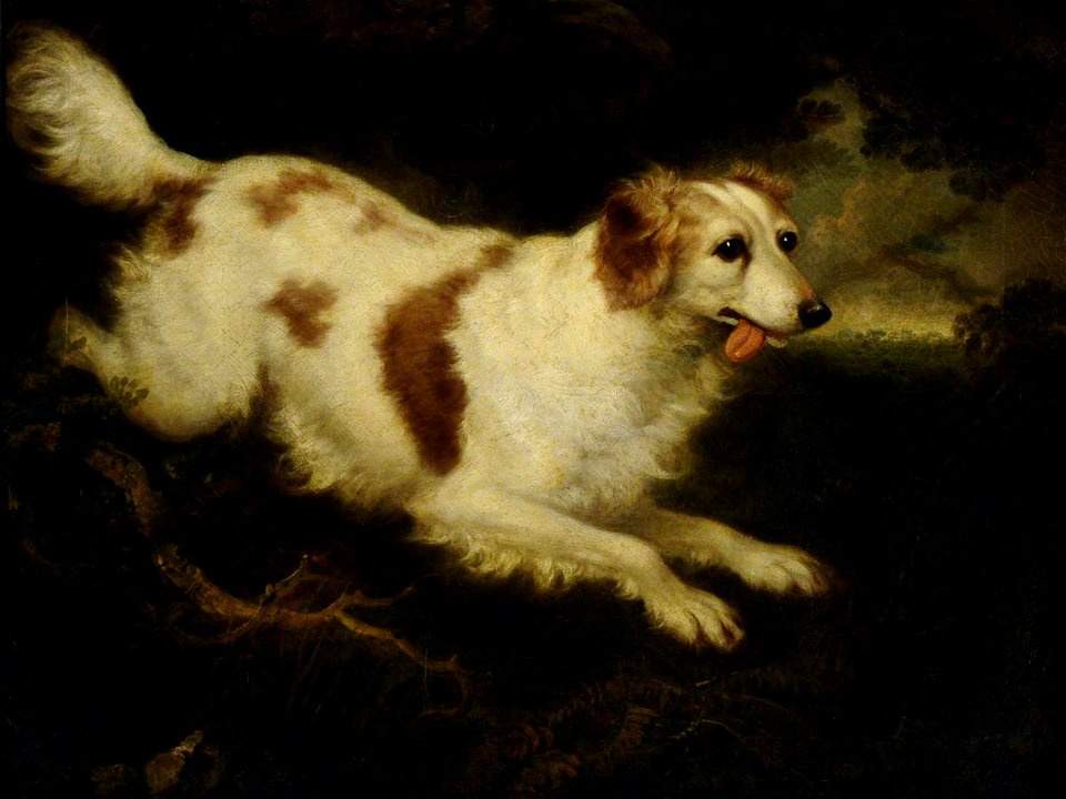 Charles Henry Schwanfelder (1774-1837) - 'Dash', a Spaniel - 290290 - National Trust