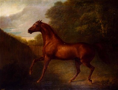 Charles Henry Schwanfelder (1773-1837) - Portrait of a chestnut horse - RCIN 404368 - Royal Collection