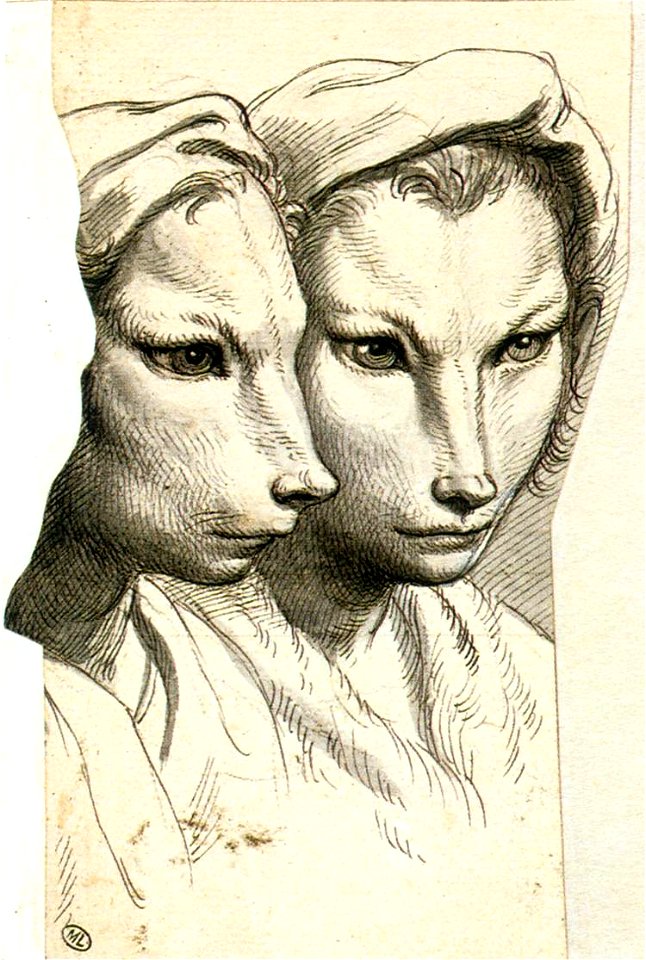 Charles Le Brun - Physiognomic Heads Inspired by a Weasel - WGA12556