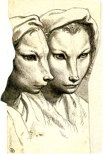 Charles Le Brun - Physiognomic Heads Inspired by a Weasel - WGA12556